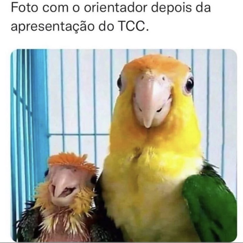 studyavocado's tweet image. 