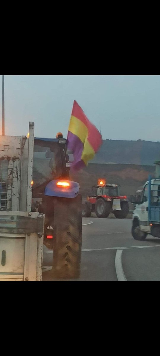 Boniatobill🔻☮️😇 tweet media