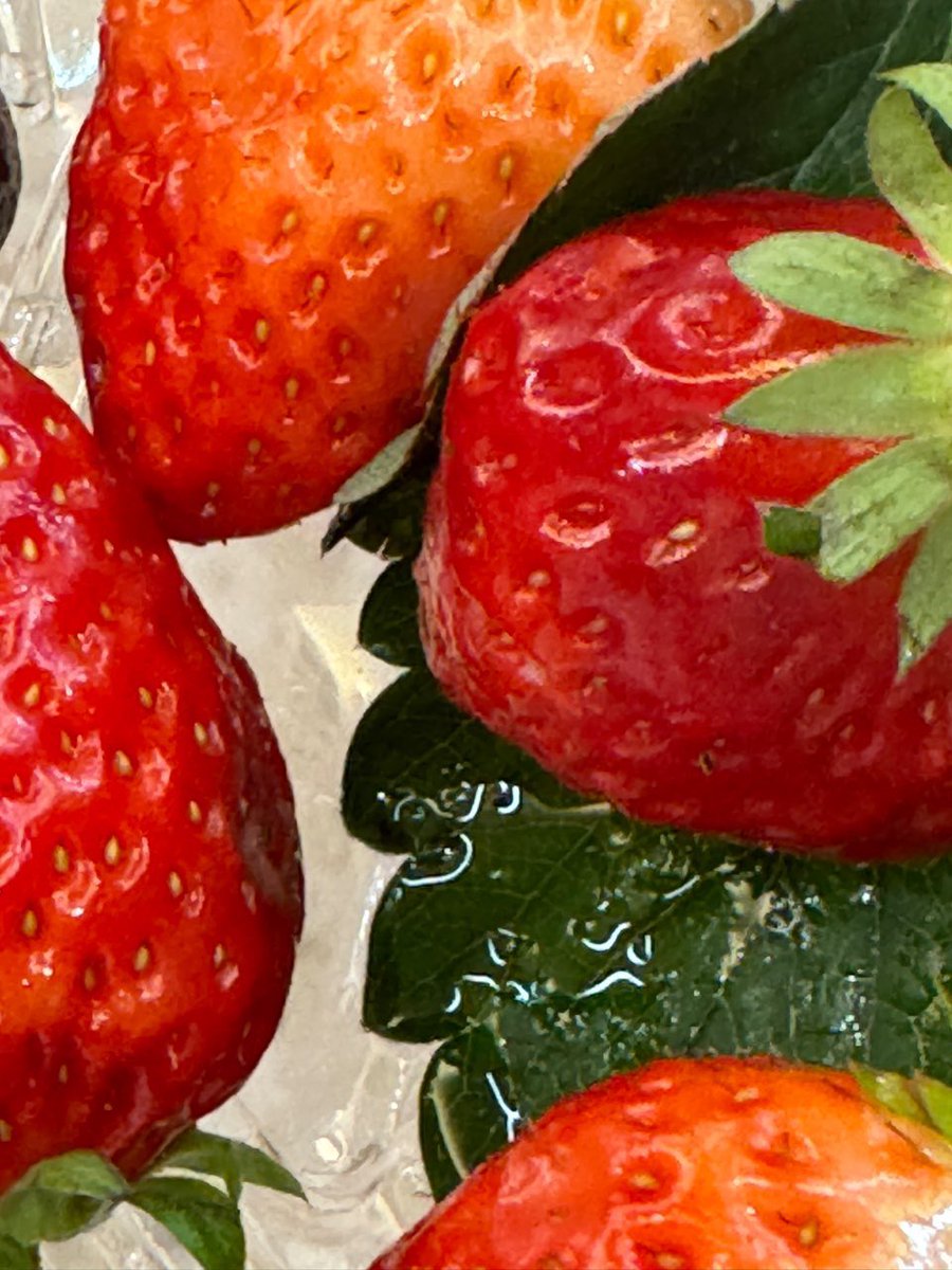 sichengupdate's tweet photo. 240209 🫧

Happy New Year’s Eve! Happy new year
Good luck in the year of the Dragon hahaha
I’m watching the Spring Festival Gala
What are you doing?
I’m eating strawberries 🍓 hahaha https://t.co/GaQiu0Xxk5