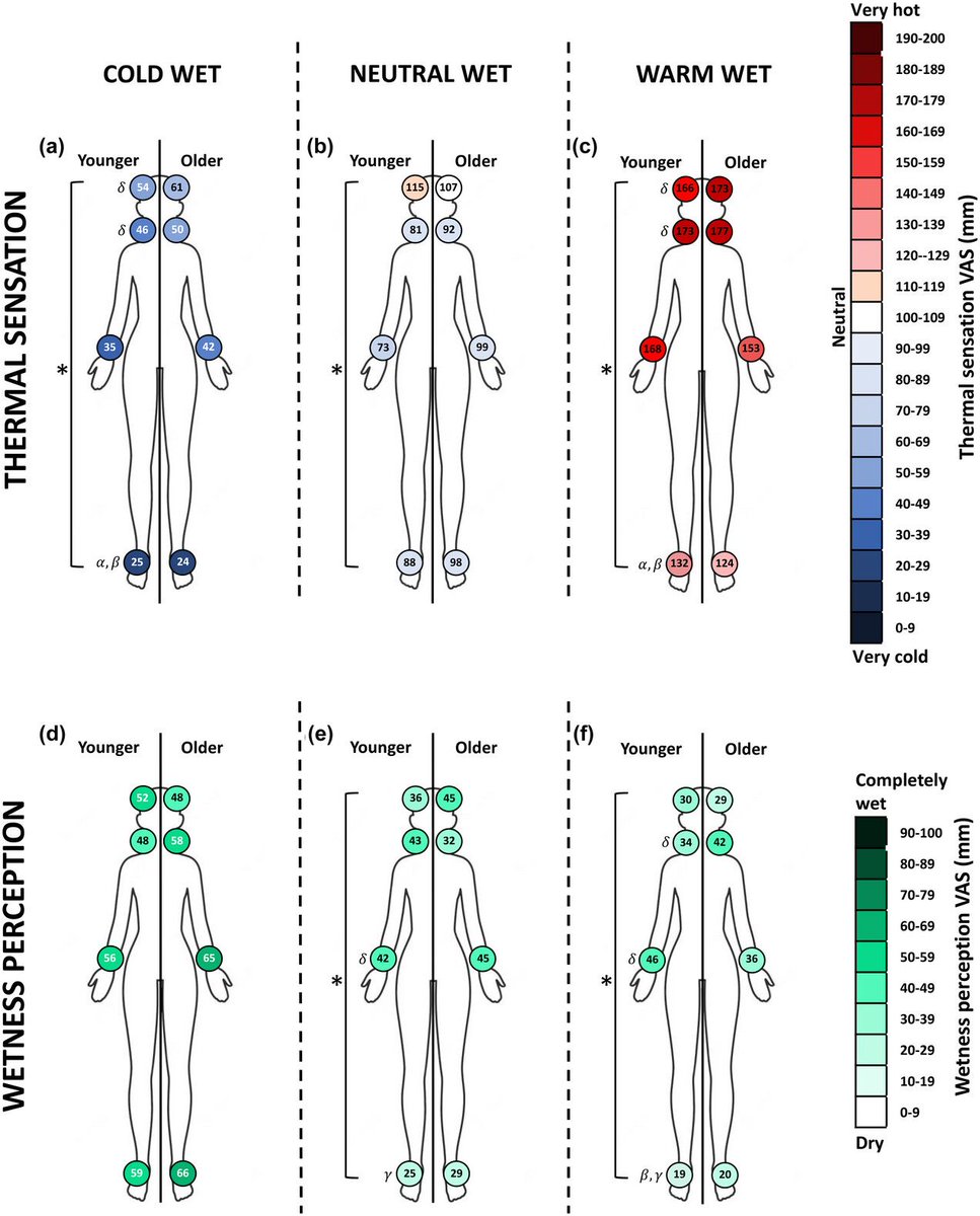 Experimental Physiology (@expphysiol) on Twitter photo Alessandro Valenza, <a href="/HannahBlount2/">Hannah Blount</a>, @PeteWors, @thermosenselab (<a href="/SkinSensing/">Skin Sensing Research Group</a>) and <a href="/antoninobianco/">Antonino Bianco</a> (<a href="/udepalermo/">Universidad de Palermo</a>) examine the biophysical, thermo-physiological and perceptual determinants of cool-seeking behaviour in women!
📜buff.ly/49t5BpS Alessandro Valenza, <a href="/HannahBlount2/">Hannah Blount</a>, @PeteWors, @thermosenselab (<a href="/SkinSensing/">Skin Sensing Research Group</a>) and <a href="/antoninobianco/">Antonino Bianco</a> (<a href="/udepalermo/">Universidad de Palermo</a>) examine the biophysical, thermo-physiological and perceptual determinants of cool-seeking behaviour in women!
📜buff.ly/49t5BpS