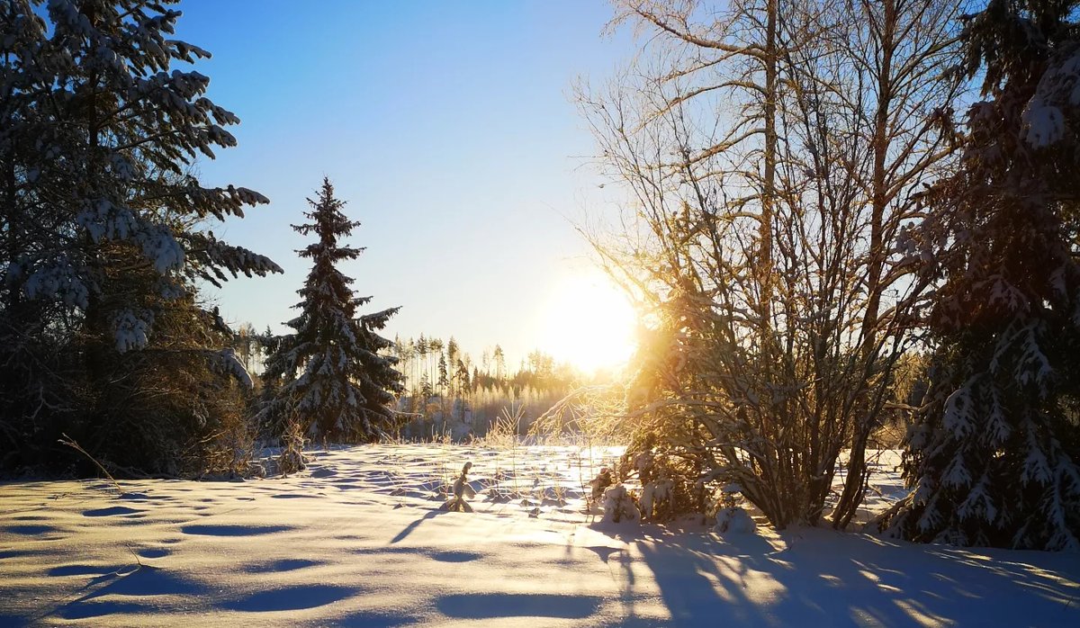 Emil Aaltosen Säätiö (@easaatio) on Twitter photo Vielä viikko aikaa hakea apurahaa Emil Aaltosen Säätiön kevään haussa. Ethän jätä hakemustasi viime tippaan 👍 Hakuaika päättyy torstaina 15.2.2024 klo 23:59:59. 
Muistathan myös lukea hakuohjeet ja Usein kysyttyä -osion emilaaltonen.fi/apurahat/hae-a…
#EASaatiotutkimustatukemassa Vielä viikko aikaa hakea apurahaa Emil Aaltosen Säätiön kevään haussa. Ethän jätä hakemustasi viime tippaan 👍 Hakuaika päättyy torstaina 15.2.2024 klo 23:59:59. 
Muistathan myös lukea hakuohjeet ja Usein kysyttyä -osion emilaaltonen.fi/apurahat/hae-a…
#EASaatiotutkimustatukemassa