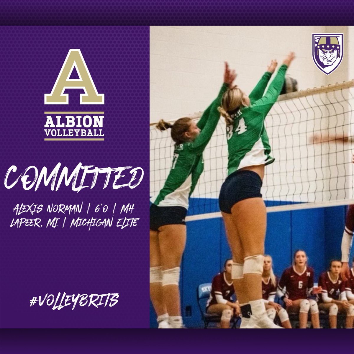 AlbionVball's tweet photo. Welcome Alexis Norman! 💜💛 https://t.co/5peQWT0aBx