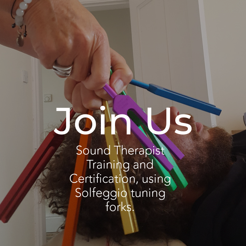 ChiSoundHealing's tweet photo. Our next sound therapist training is Saturday 6th /Sunday 7th April 2024 https://t.co/tunmmNBcoK https://t.co/FYWo1dxuF4