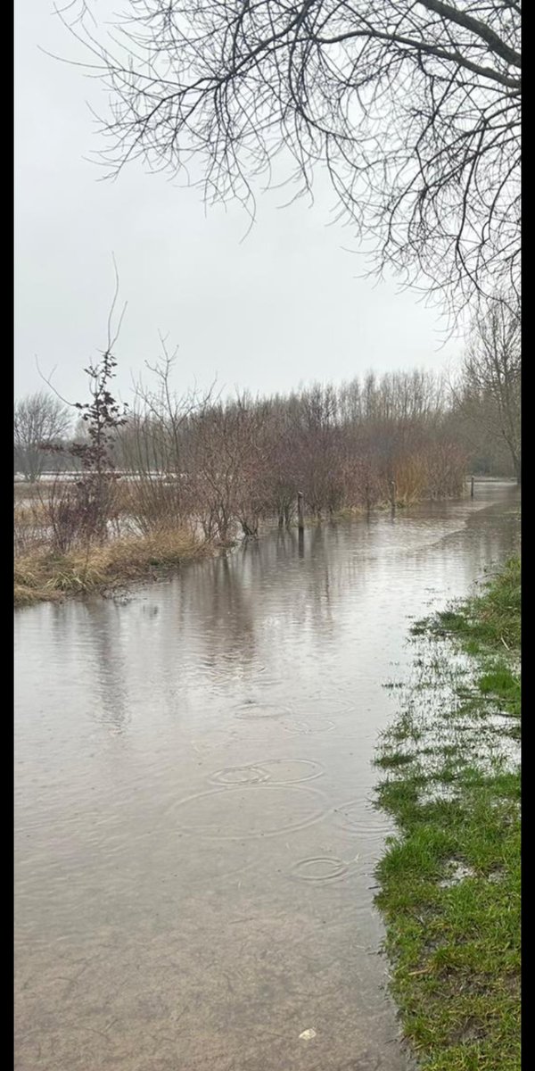 Edenbkparkrun's tweet photo. Unfortunately even for us the flooding is too deep today, and with more rain scheduled we have cancelled tomorrow's parkrun.  If you're traveling instead then @Brackparkrun is off, while it is Frimley's 14th birthday with a full pacing team! https://t.co/rRAh3A4663