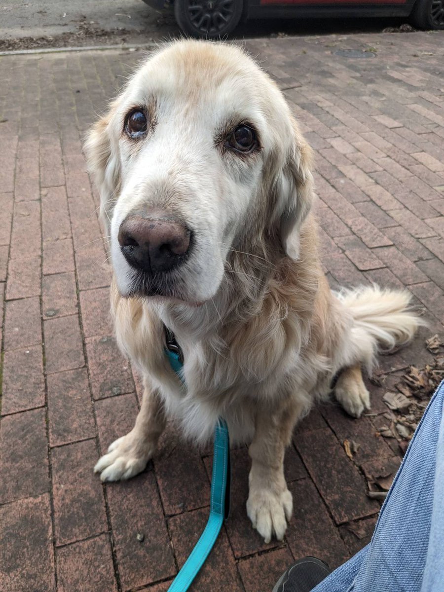 Kristen Soltis Anderson tweet media