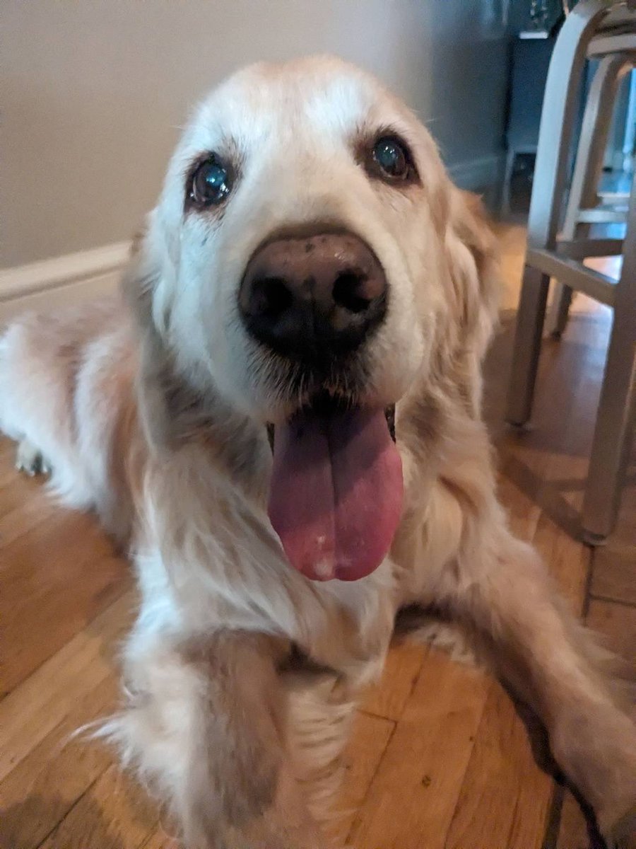 Kristen Soltis Anderson tweet media