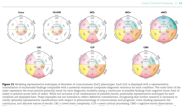 Covert Cortical Processing: A Diagnosis in Search of a Definition, with @ComaRecoveryLab @YelenaBodien #MatteoFecchio in @NeuroConsc  —academic.oup.com/nc/article/202… #braininjury @CuringComa