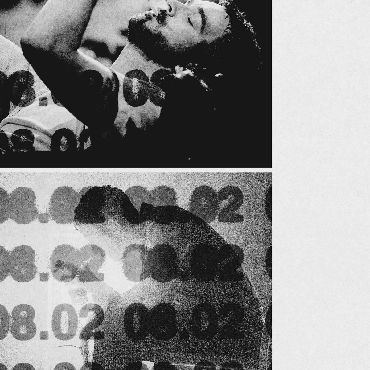 The 1975 tweet media