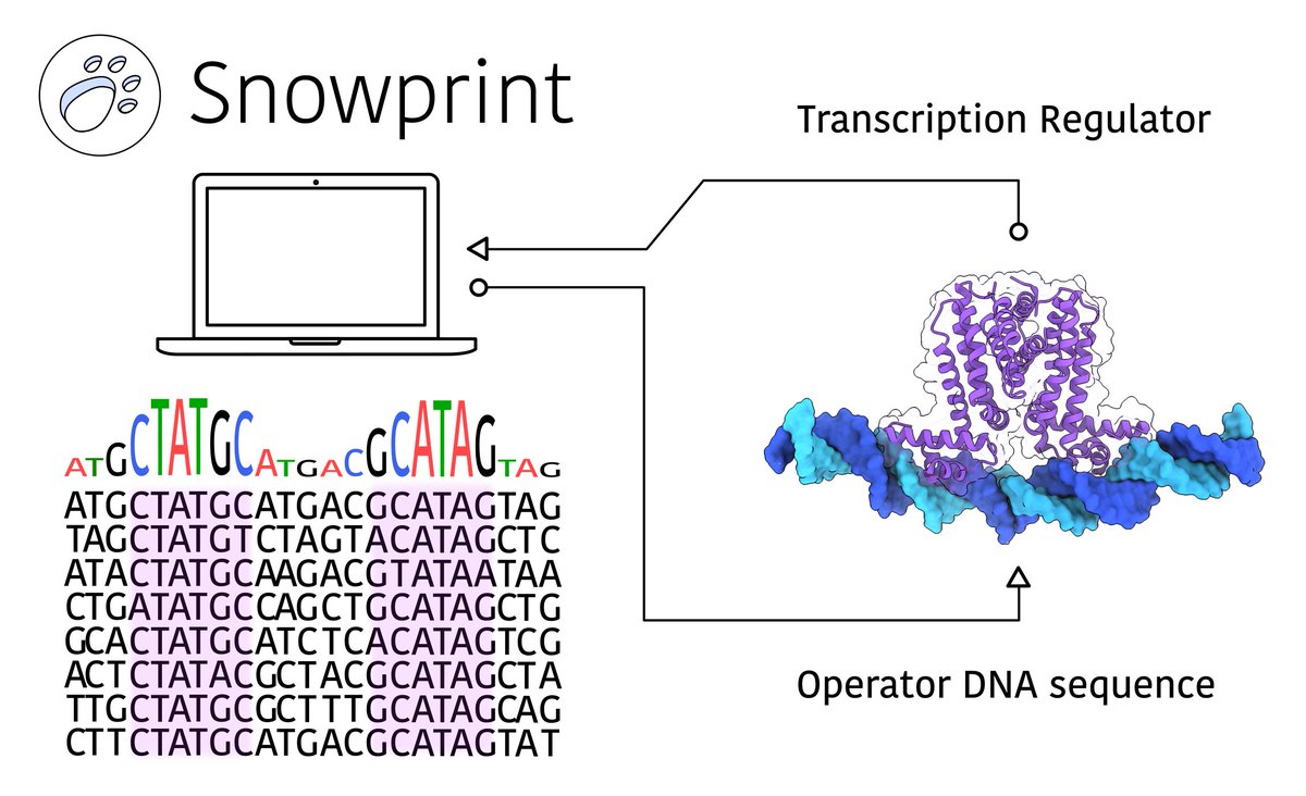Simon dOelsnitz tweet media