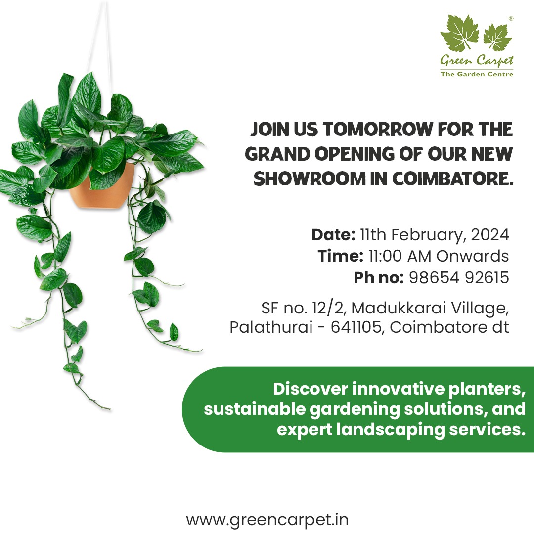 We extend a warm welcome to join us at the grand opening of our new showroom in Coimbatore! Explore a world of greenery and landscaping solutions with us. We can't wait to see you there!

#greencarpet #newstorelaunch #newshowroom #coimbatore #coimbatoreshowroom #plantstore