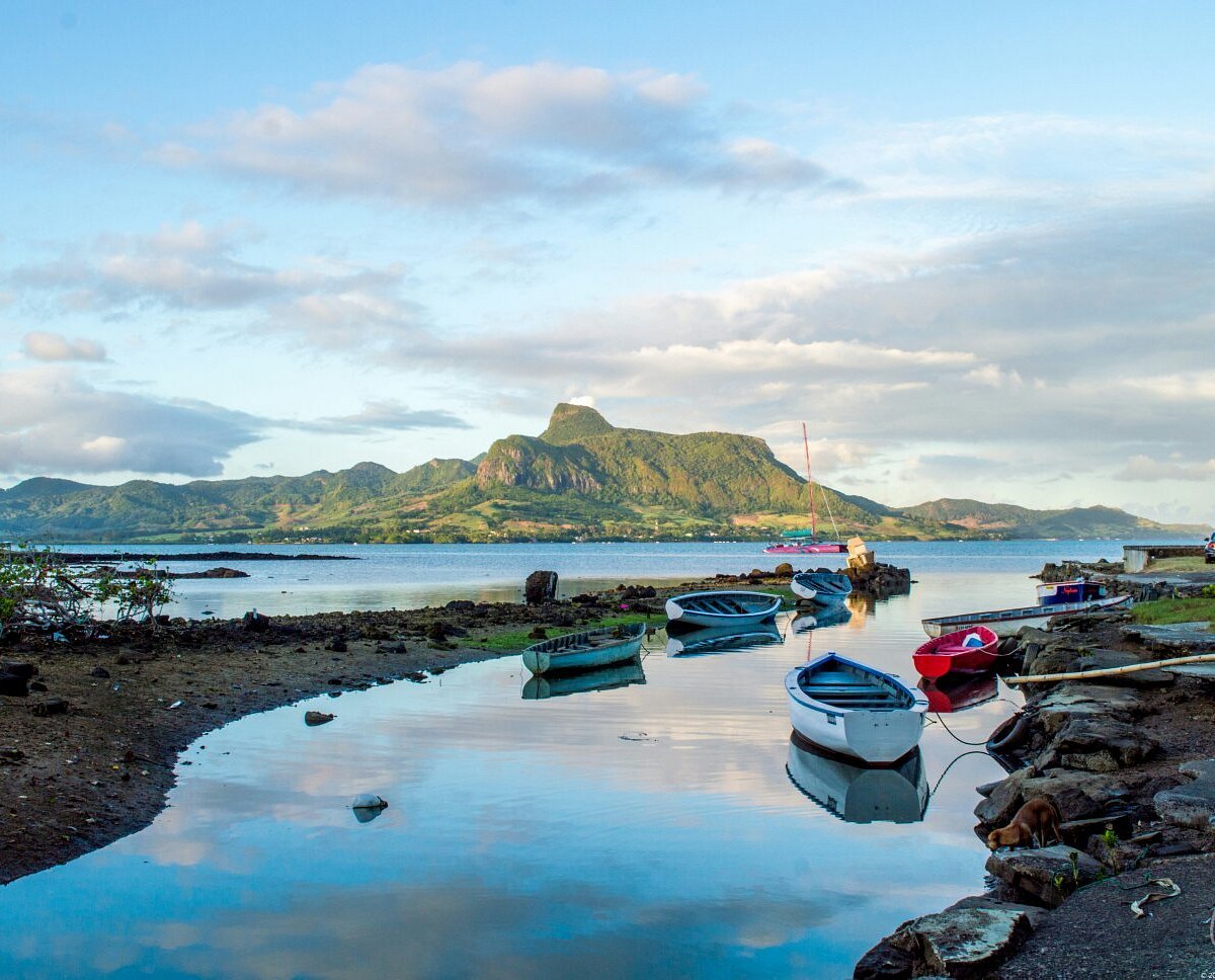 ILE MAURICE : Guide pour un séjour inoubliable en terre mauricienne #ilemaurice #voyage #mauritius #vacances
✅voyage-ile-maurice.info/ile-maurice/ac…