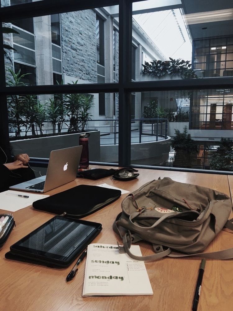 delaisestuda's tweet image. lembrem-se: a obsessão ganha do talento. todas as vezes.