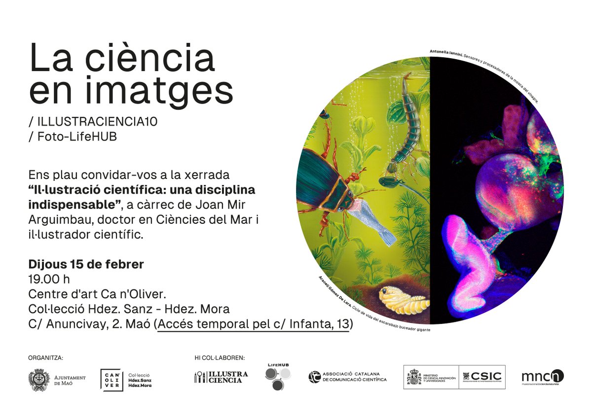 CSICdivulga's tweet photo. 'La ciencia en imágenes': la exposición de #Illustraciencia10 y Photo-LifeHUB se exhiben en ca n'Oliver (Mahón, Menorca) hasta el 14 de marzo. Además, el 15 de febrero Joan Mir Arguimbau (@ICMCSIC) impartirá una conferencia sobre ilustración científica ➡ https://t.co/DzLDF2StRG https://t.co/BFU7svIJoD