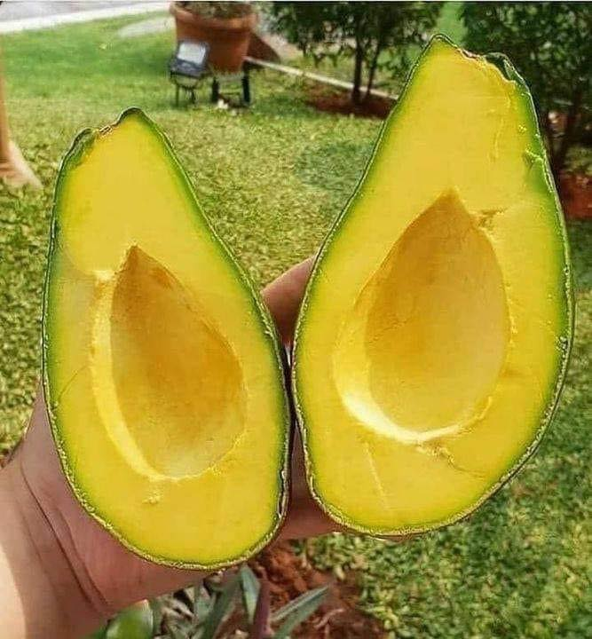 RincnCuriosoo's tweet photo. ¿Donde están los q aman esta delicia? 🥑🥑🥑 https://t.co/pBMJoQtARC