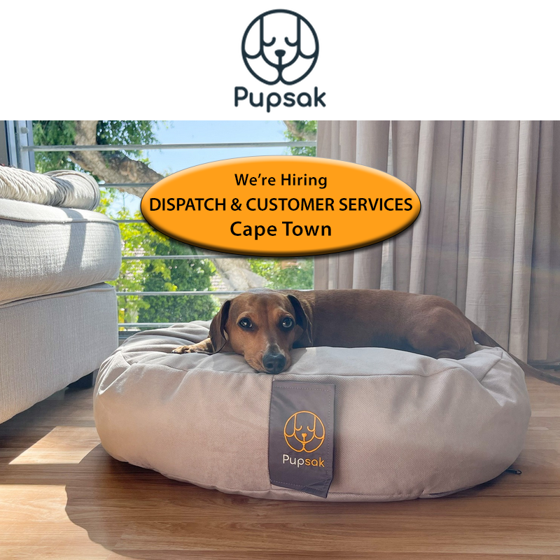 intplacements's tweet image. PupSak is a Cape Town based company that creates stylish and sustainable dog beds and steps available to all regions across South Africa.  We are looking for a Dispatch and Customer Services consultant. 📷 View on interiorplacements.co.za #dispatch    #customerservices #capetown