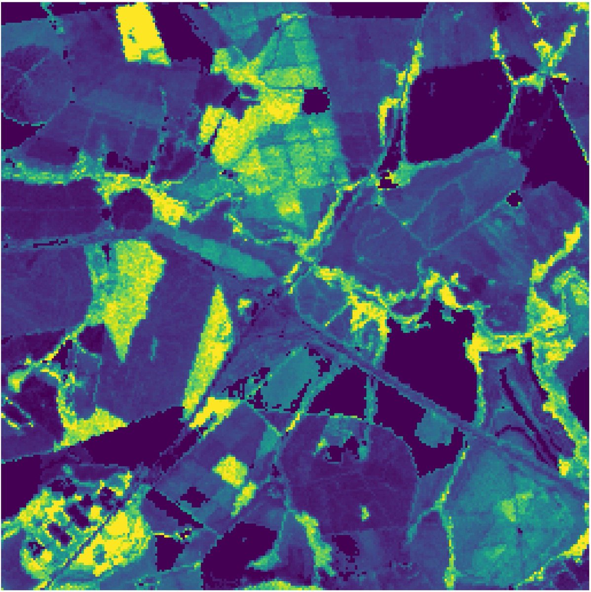 mpferreira3's tweet photo. Anthocyanin reflectance index derived from #EnMAP hyperspectral satellite image 🛰️. Areas with a high content of anthocyanin are highlighted in yellow, indicating forested regions, which include both naturally occurring forests and monocultures in Brazil. 🌳💛 #RemoteSensing https://t.co/KUJSWaVmy9