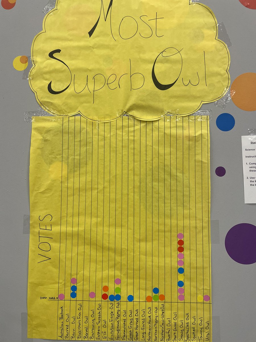 Meghan Campion tweet media