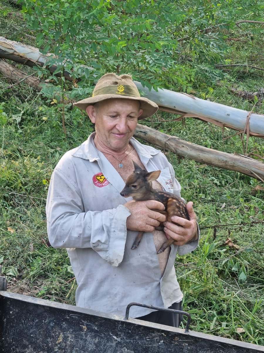 Lv - 🪩 tweet media