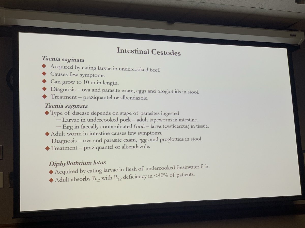 doralebron's tweet photo. More #parasitology 🔬⁦@ECUHealth_ID⁩ #medtwitter https://t.co/51la9nSbXu