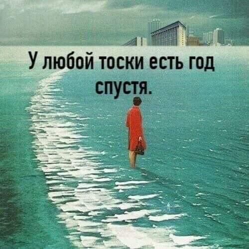 Мария Роща (@MariaRoschaLA) on Twitter photo 2024-02-09 13:43:30