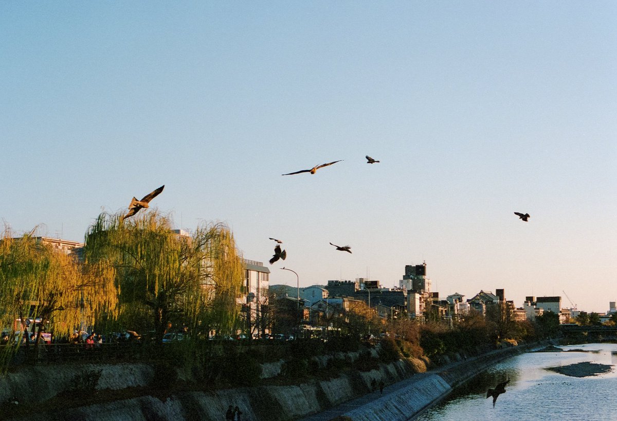 narukim_'s tweet photo. 1月　#nikonf3 https://t.co/SVSeTri8ta