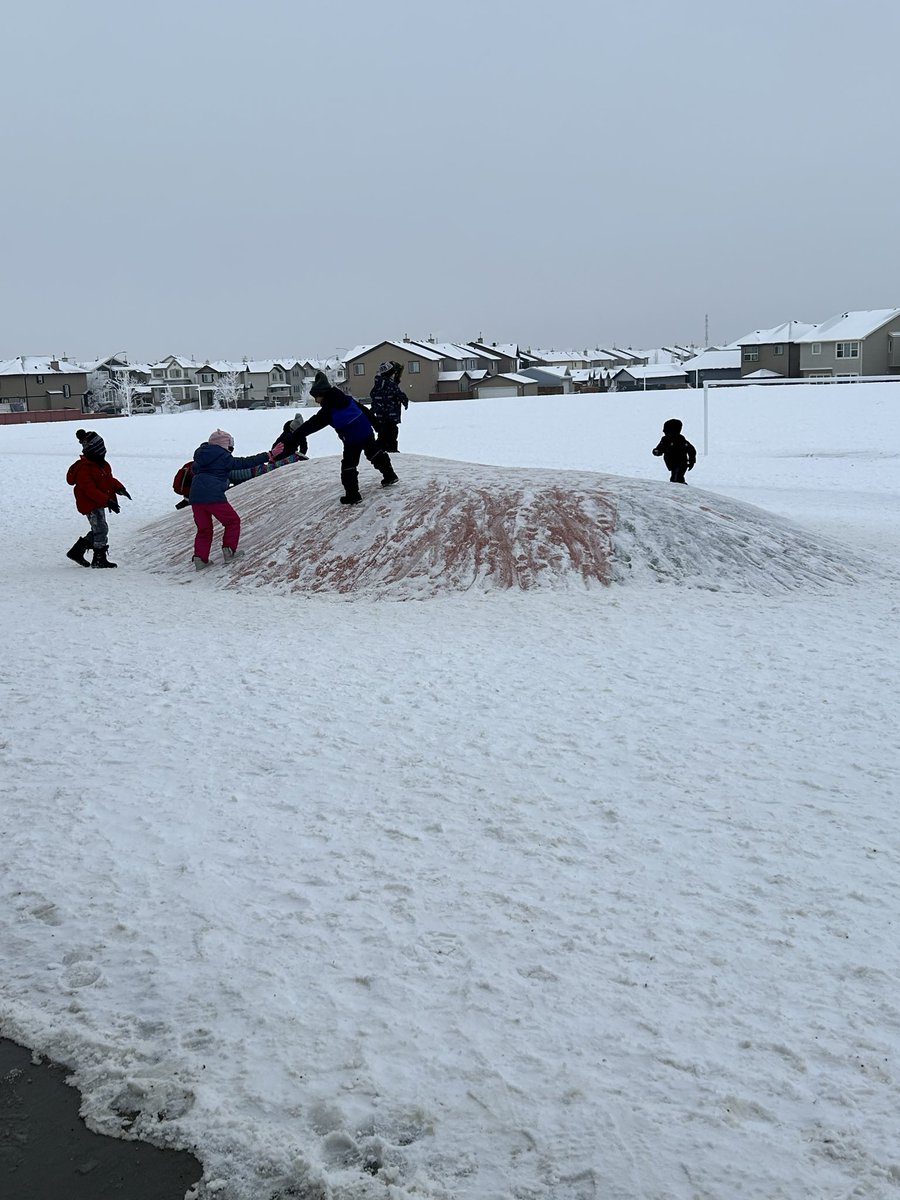 Gr1HAB_Coote tweet media