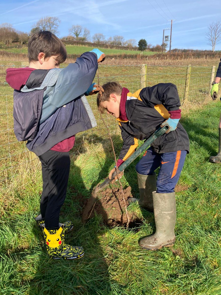 Wythnos brysur yn plannu coed afalau a gweithio gyda’n dwylo gyda’r Criw Burns yn ystod Wythnos Iechyd Meddwl Plant! 🍎🌳 #Lles A busy week of planting apple trees and getting our hands dirty with @Burnscommunity during our Children’s Mental Health Week! 🌳 🍎 #Wellbeing