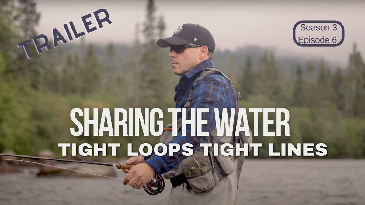 Episode 6 of Tight Loops Tight Lines is out this week! Fly fishing for Atlantic Salmon with Dion Dakins, and we get a few moments to chat about the impact harp seals are having on the fish in NL. #seals #NewfoundlandandLabrador
