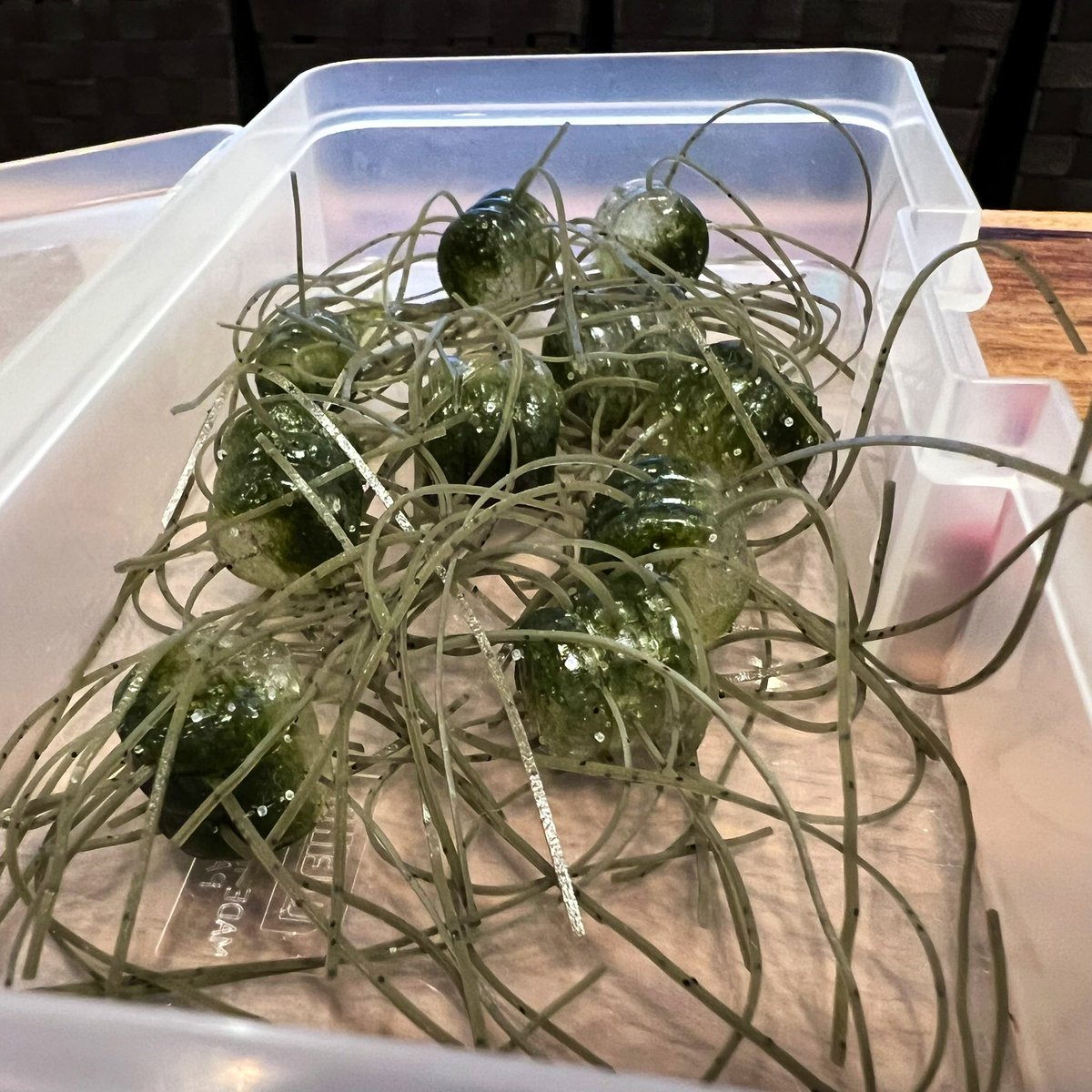 GreenLifeLike's tweet photo. 自作ラバー完成。

サイコロではありません。

これでデカバス釣りたい。

#バス釣り
#ブラックバス https://t.co/r7aibvKYZP