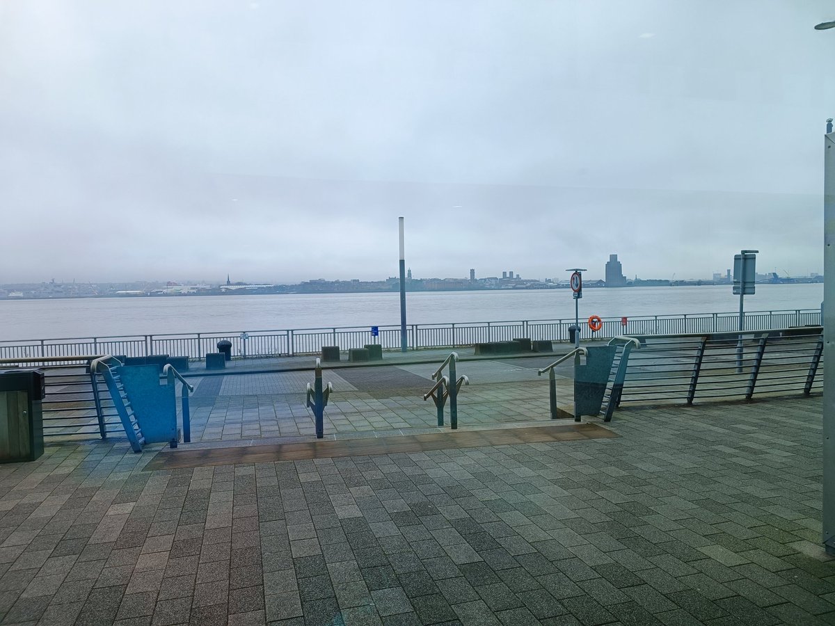 Sunflower Samurai - サンフラワー侍 tweet media