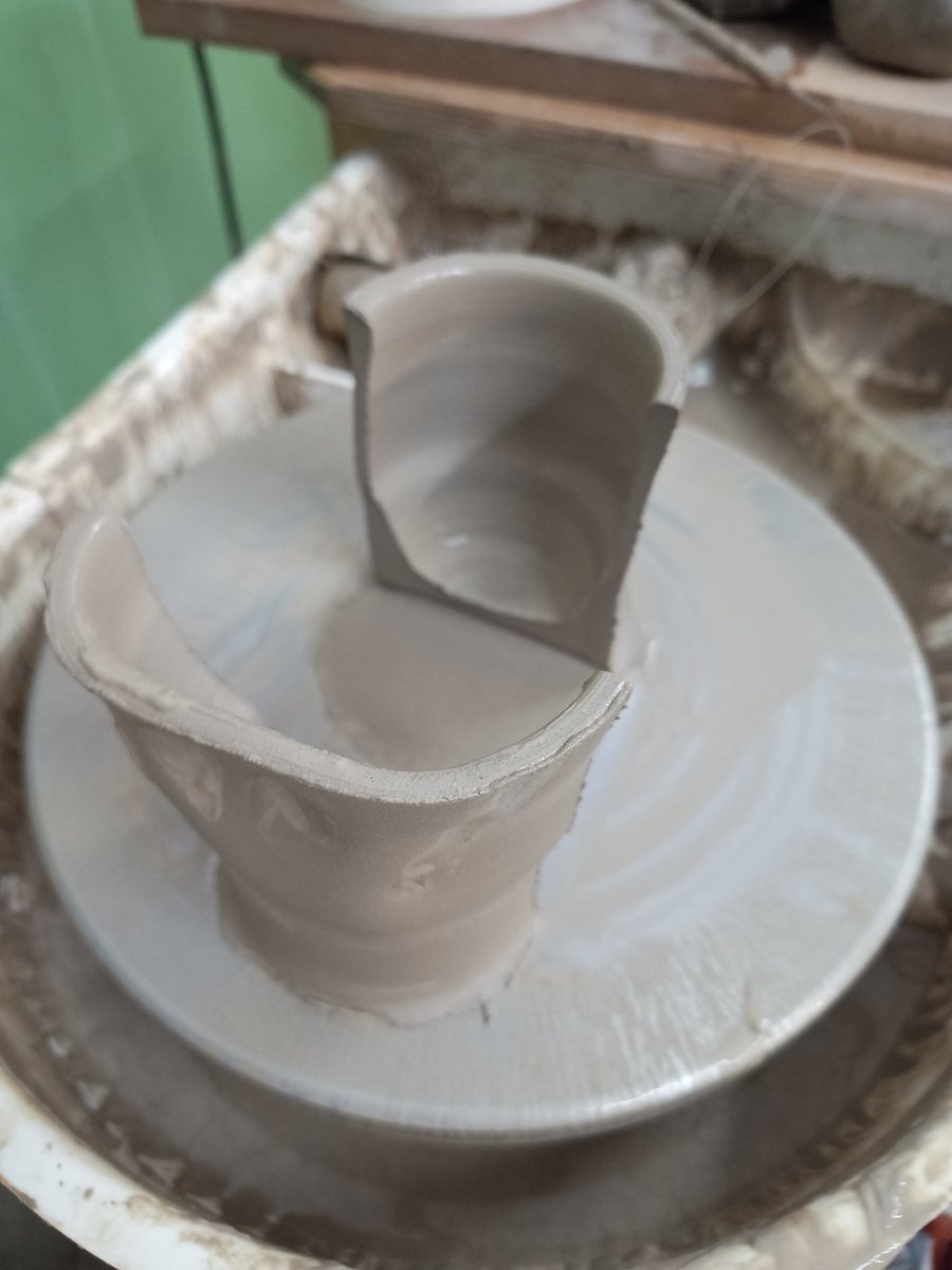 David Bolus tweet media