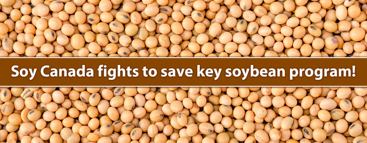 .<a href="/Soy_Canada/">Soy Canada</a> stands at a crossroads, rallying to save the Harrow Soy Quality Program.

With over $1.5 billion in annual exports, this program is a beacon of excellence in Canada's #soybean industry.

Learn why it's worth preserving: caar.org/ag-retail-news…

#CdnAg #CdnAgRetail