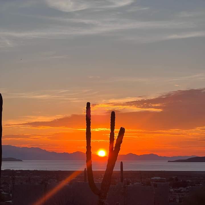 ingvazquezcj's tweet photo. #BDLA 🌵🇲🇽❤️🔥😍 Que tengan un buen dia ☀️
Fuente:BDL - Bahía De Los Angeles en FB. (Todos los créditos a su autor ).
🕊️🍀👇🏾 https://t.co/7y8CqMy7dB