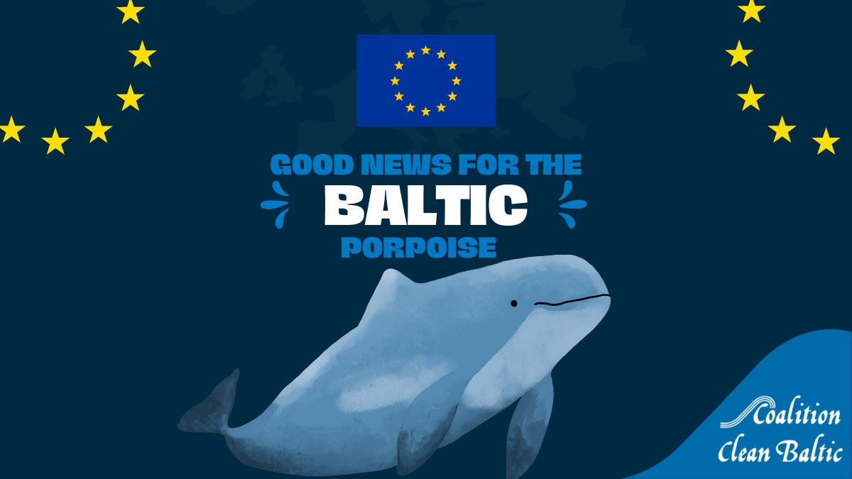 The <a href="/EU_Commission/">European Commission</a>  pursued legal action vs. Sweden 🇸🇪 for failing to protect the Baltic porpoise. ⚖️🐬
Sweden has 2 months to take action! ⏰

We need real actions to minimize #bycatch &amp; protect key habitats to #SaveTheBalticPorpoise!

Full decision: buff.ly/3Uu5PJ3