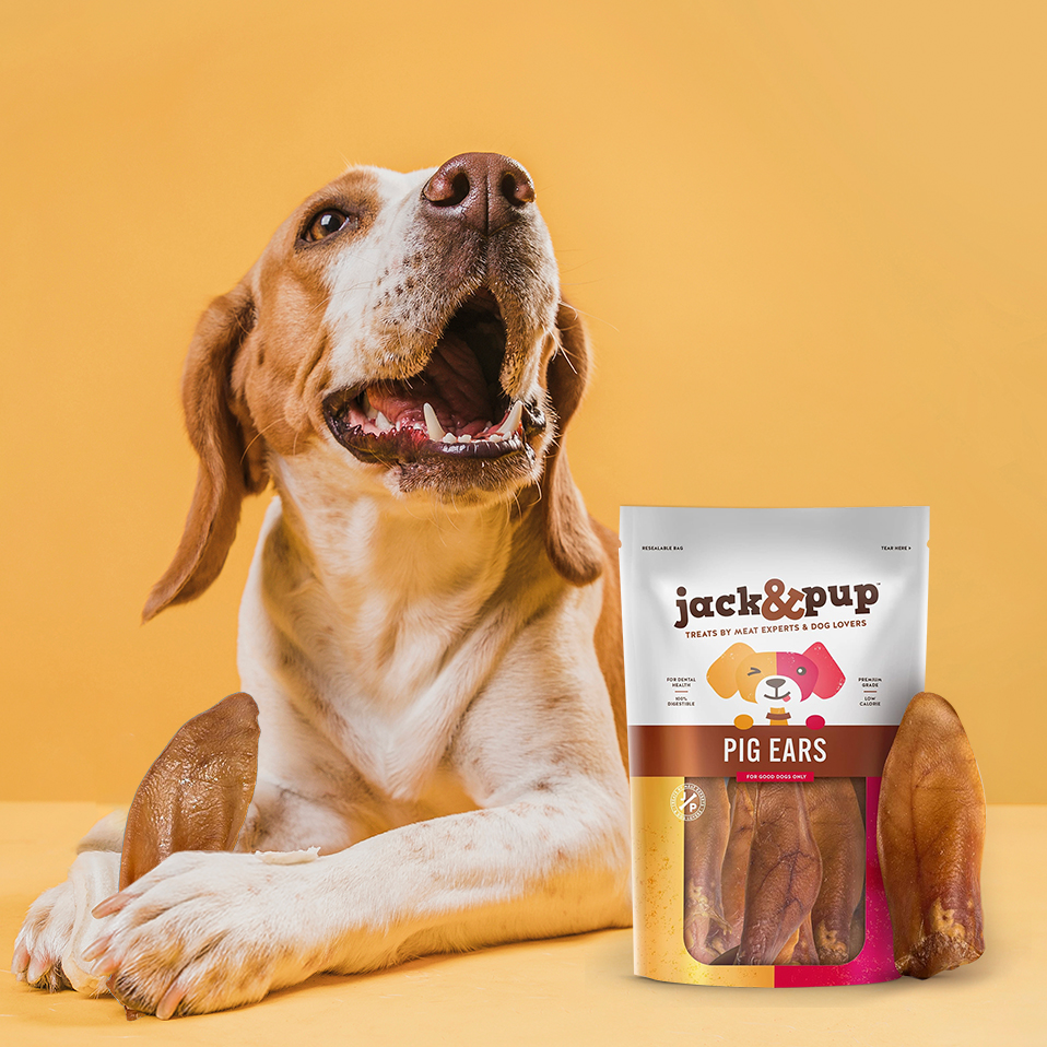 🐷🔥 Snoutful Savings Alert! Treat your pup to joy with Jack&Pup's delectable Pig Ears – now 25% OFF for the next 72 hours! 🌟🎉 Indulge their taste buds and make snack time extraordinary! 🐾💖 

#PiggyPerfection #SnackTimeSavings #JackAndPupWellness #DogHealth #TailoredNutrition