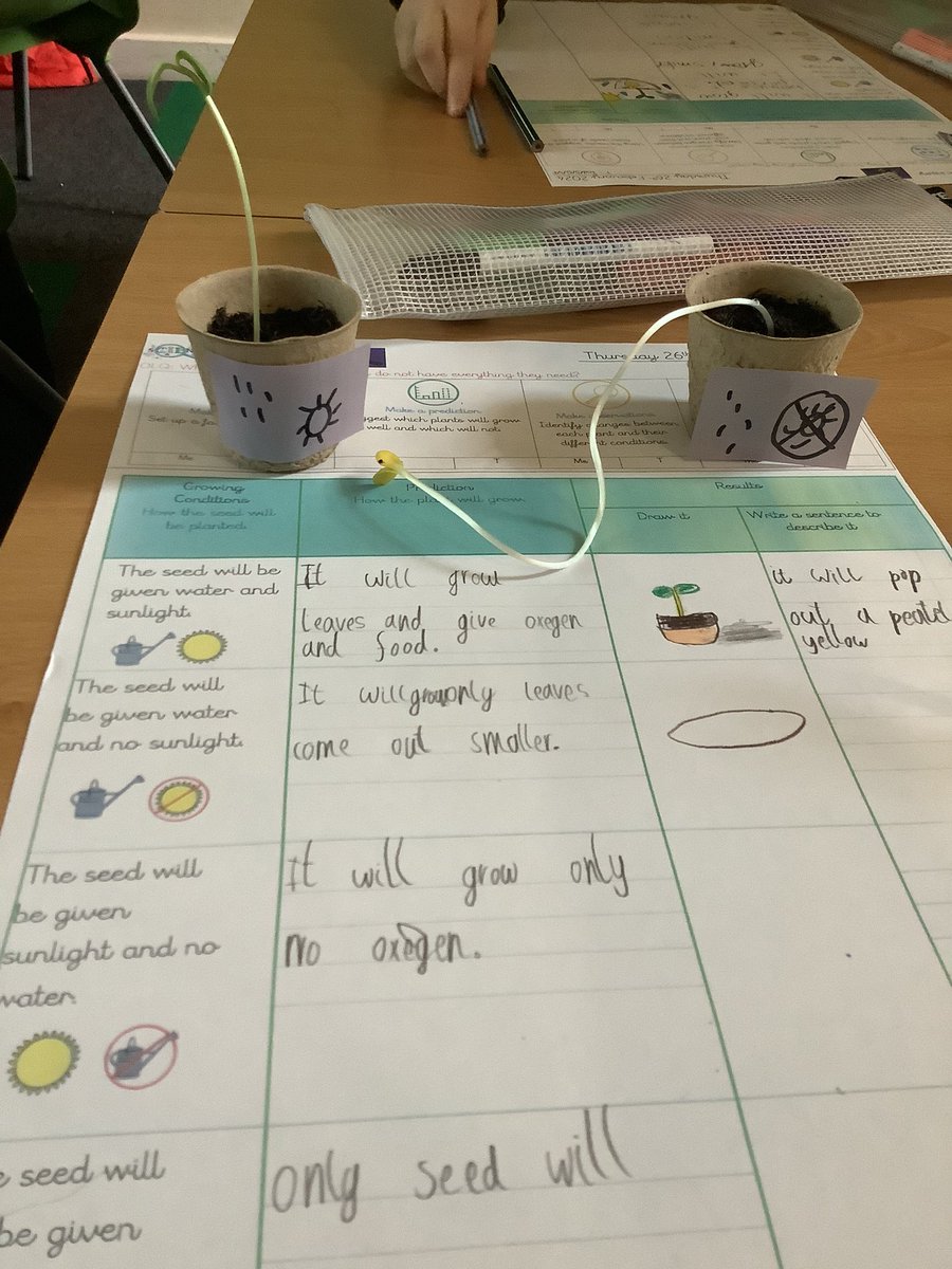 AshwoodYear2's tweet photo. In #ASAScience, year 2 have conducted a scientific experiment where they changed the conditions for seeds to observe over time what happens. We were AMAZED at the results. @satrust_ https://t.co/ZOSsXYP4VB
