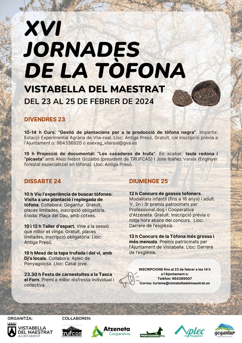 VistabellaAjunt's tweet photo. Ací teniu tota la programació de les XVI Jornades de la Tòfona 📍 https://t.co/jFzfdI1fgP