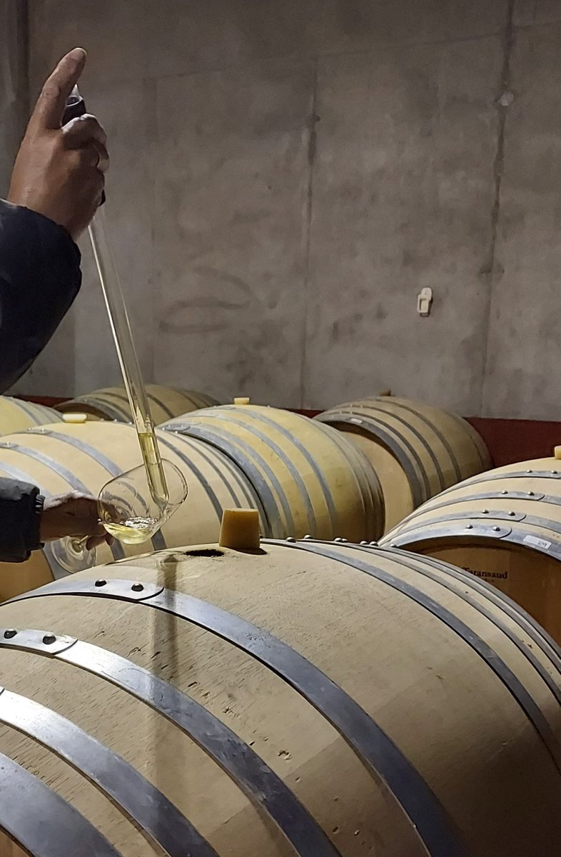 Nuestros MAESTROS Jordi Munt y Carmen Aparicio ya seleccionan y reservan las mejores barricas de las mejores bodegas para seguir ofreciendo los mejores vinos durante muchos años más. This is Vinalium!!!
