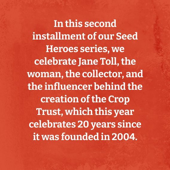 Ahead of #WomenInScience Day, our #SeedHeroes series celebrates Jane Toll -  the woman, the collector, and the influencer behind the creation of the Crop Trust!

Read more about Jane’s career marking the field of plant genetic resources conservation ➡️ buff.ly/3HU2ZFK
