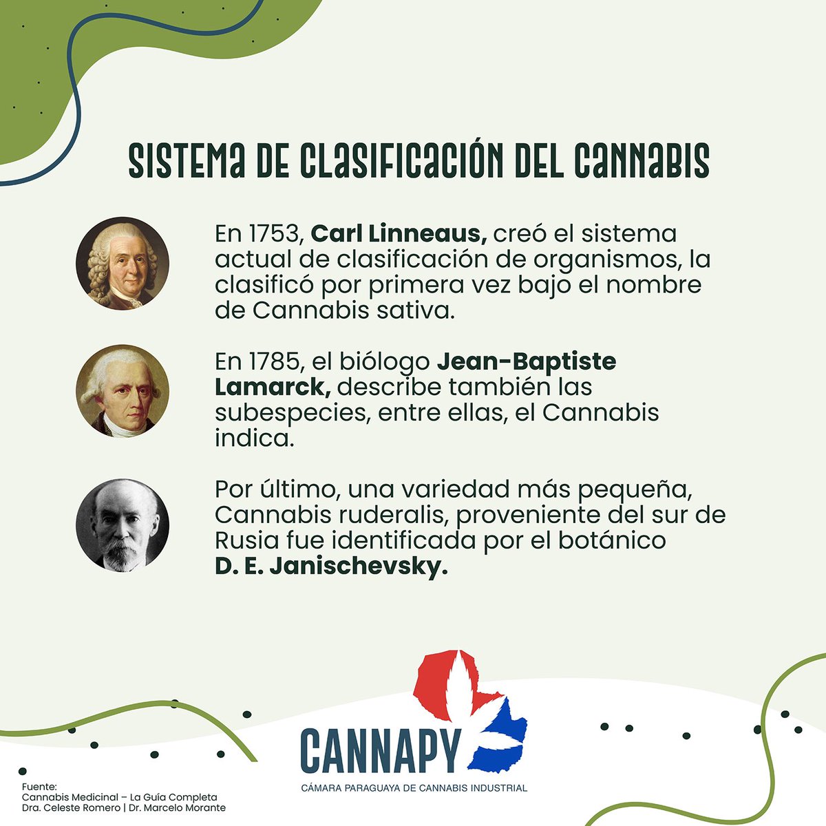 Cannapy_'s tweet photo. El cannabis es una especie herbácea que se clasifica en tres principales tipos, de acuerdo a ciertas características que presentan, sus requerimientos de cultivo y su lugar de procedencia.
#CannaPy https://t.co/RBrbkSNNLW