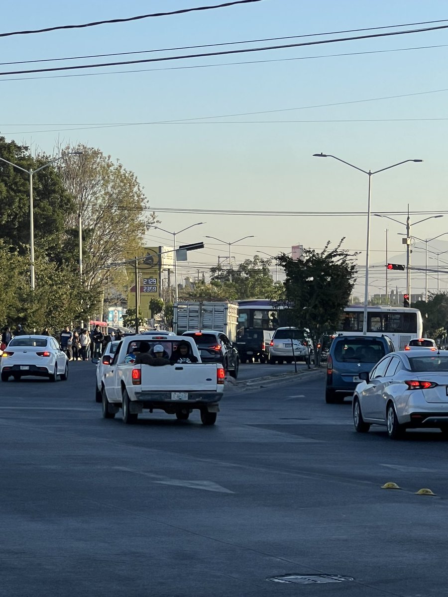 Alex Amavizca tweet media