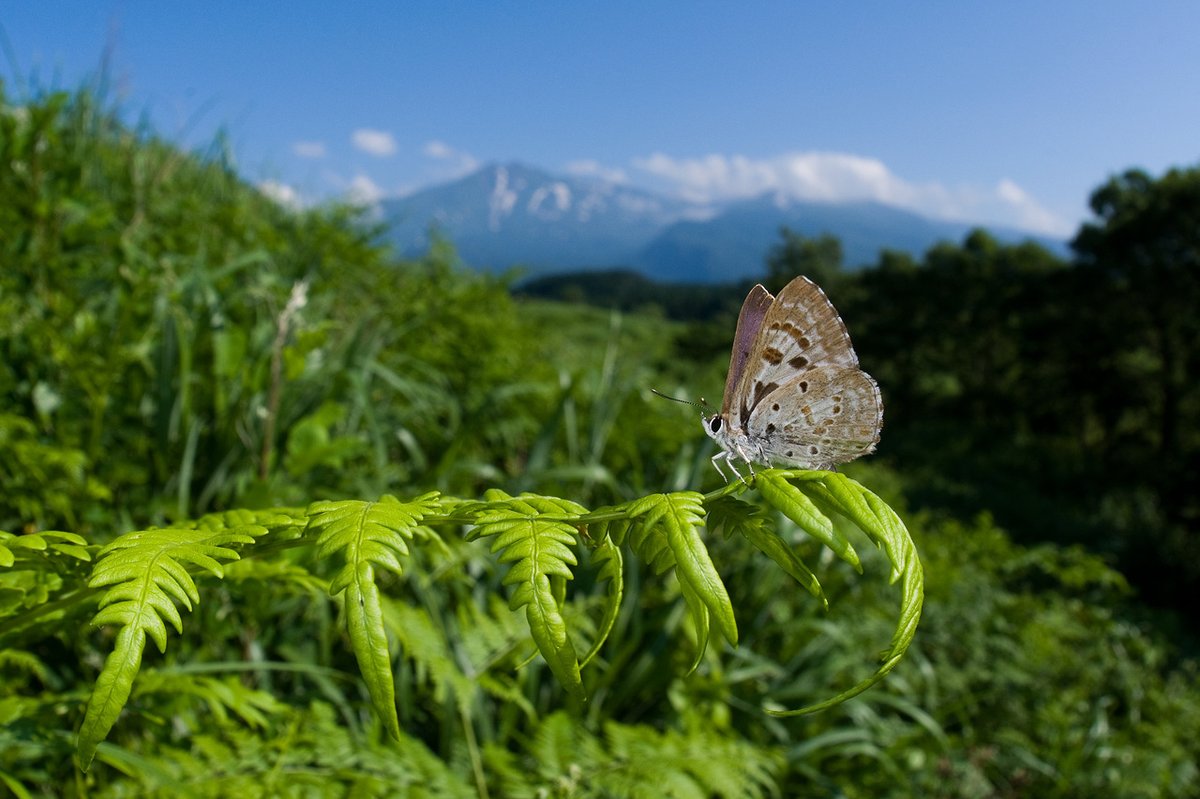 KUDO Seiya tweet media