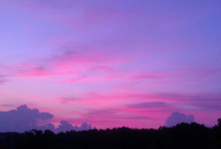 violettweets_'s tweet photo. pink skies. https://t.co/9NMSMaKal6
