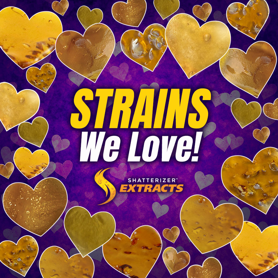 Here are some strains we are in love with #Shatterizer Family: bit.ly/LoveExtracts
