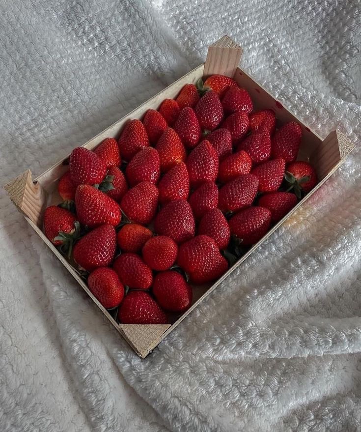 i3Moment's tweet photo. 🍓 https://t.co/RsVnBgerH2