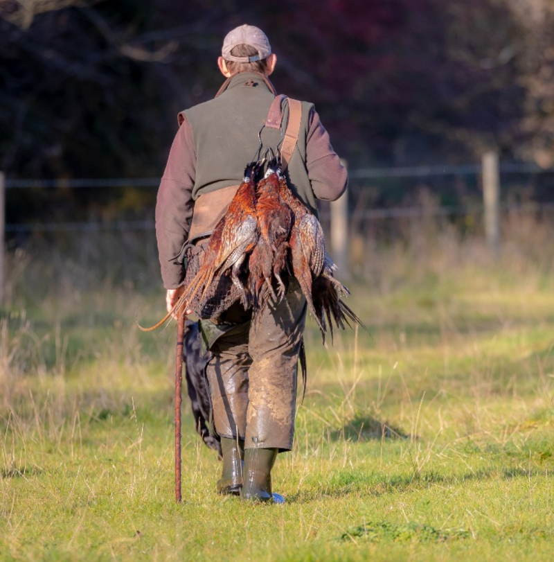 Protect the Wild (@protectthewild_) on Twitter photo Last week marked the end of the pheasant shooting season. A 'sport' where birds are shot out of the sky for the sheer fun of it.
RT if you're opposed to pheasant shooting and drop us a follow
<a href="/ProtectTheWild_/">Protect the Wild</a> as we work to end all bird shooting. Last week marked the end of the pheasant shooting season. A 'sport' where birds are shot out of the sky for the sheer fun of it.
RT if you're opposed to pheasant shooting and drop us a follow
<a href="/ProtectTheWild_/">Protect the Wild</a> as we work to end all bird shooting.
