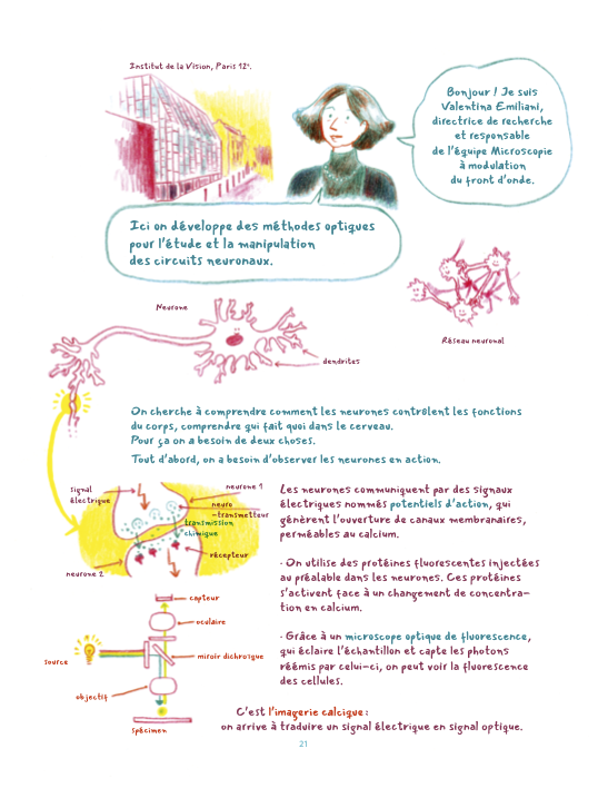 Institut de la Vision tweet media
