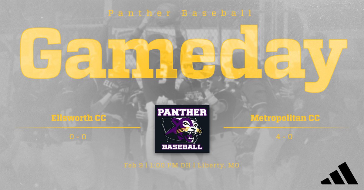 ECC BASEBALL tweet media