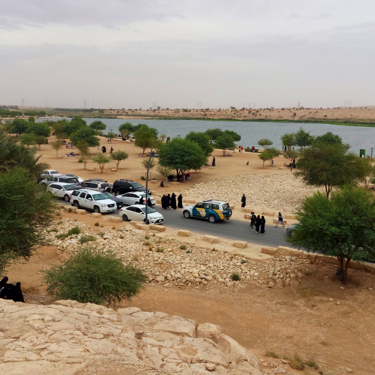 view_riyadh's tweet photo. @resort_alnarjis منتزه البحيرات، من الأماكن الجميله بـ #الرياض
 تنفع للمشي والجلوس 🏝

الموقع 📍
https://t.co/BPlIYFbeWn https://t.co/P7Y1E0cjTl
