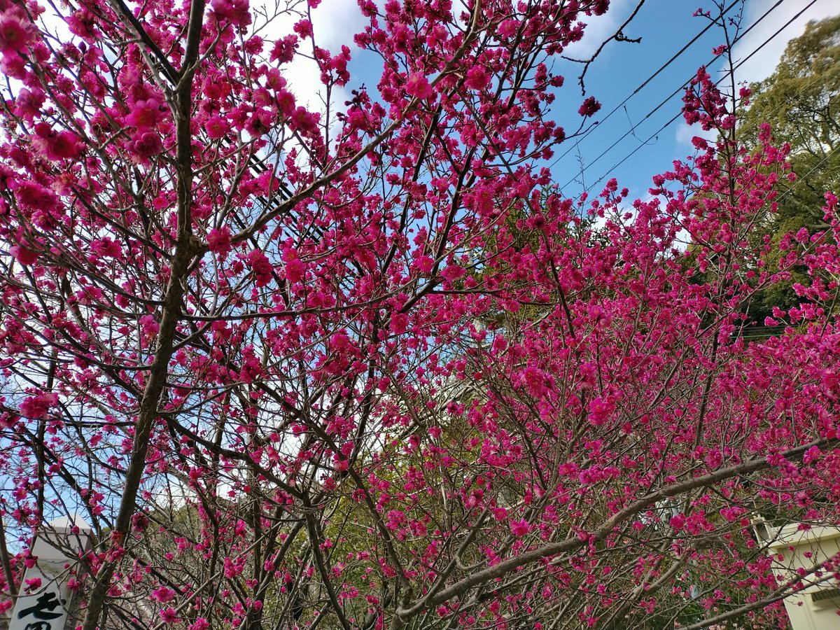 もっさん (@k_y_mossan) / Posts / X